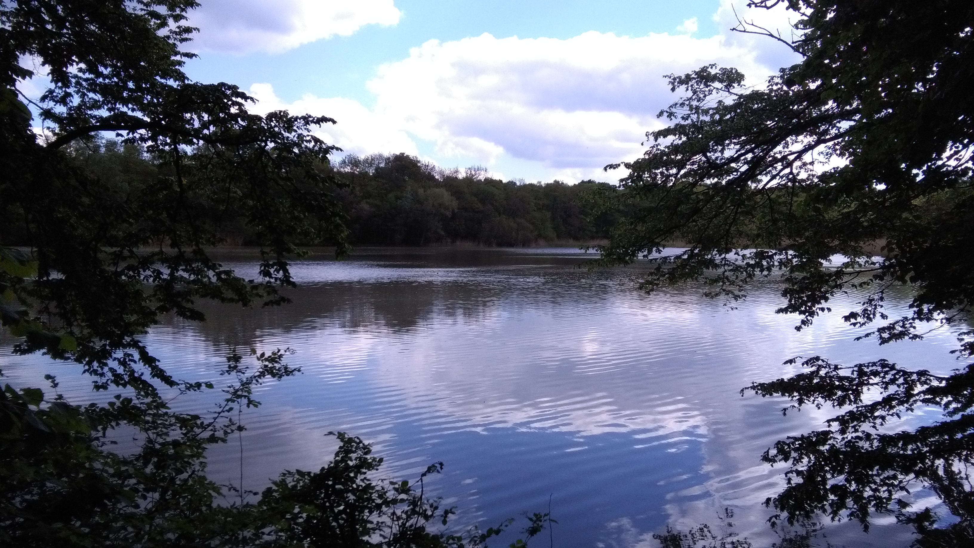 Etang